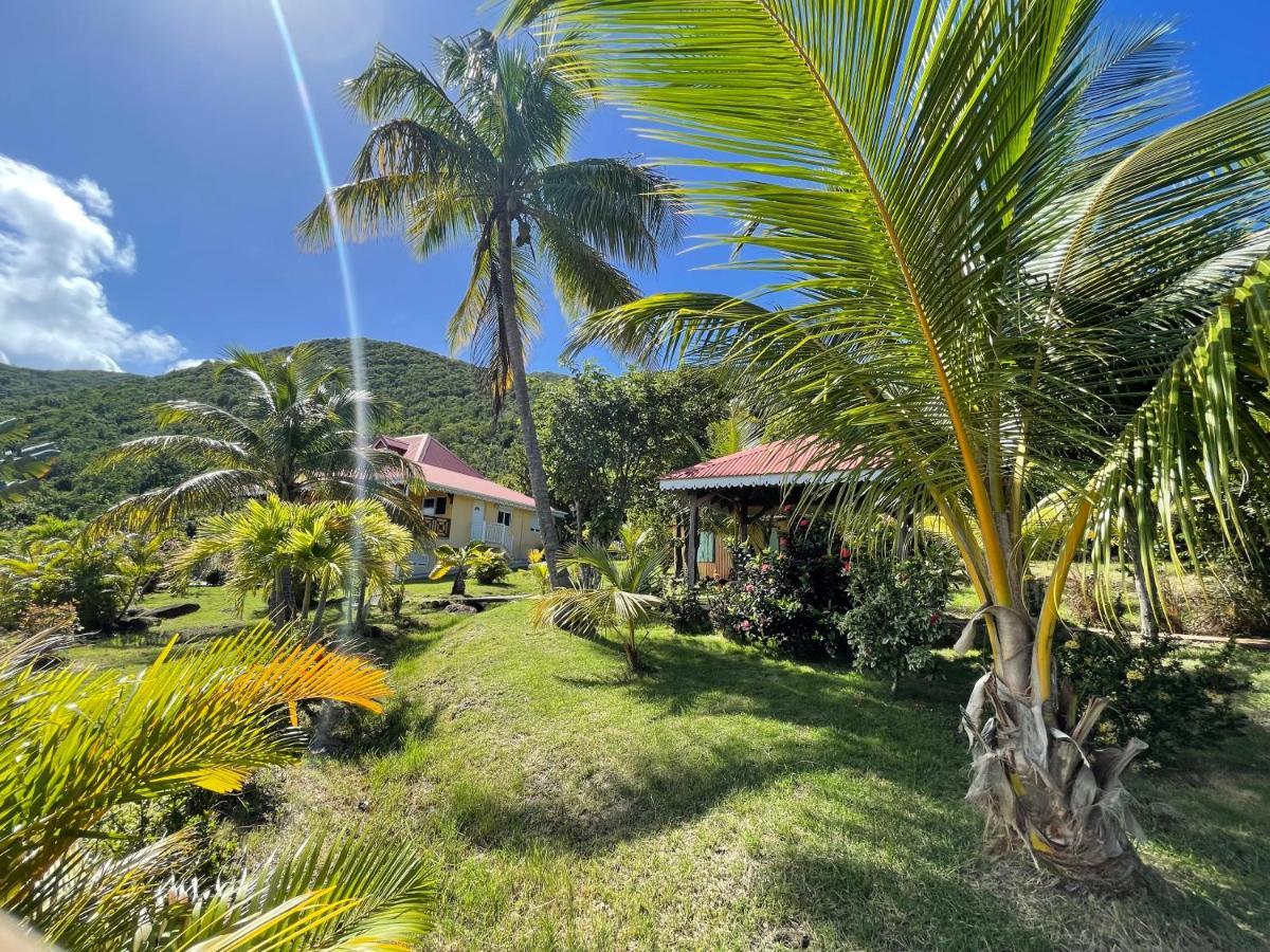 Residence Coco D'Iles, Gite Ti Bambou Terre-de-Bas Exterior photo